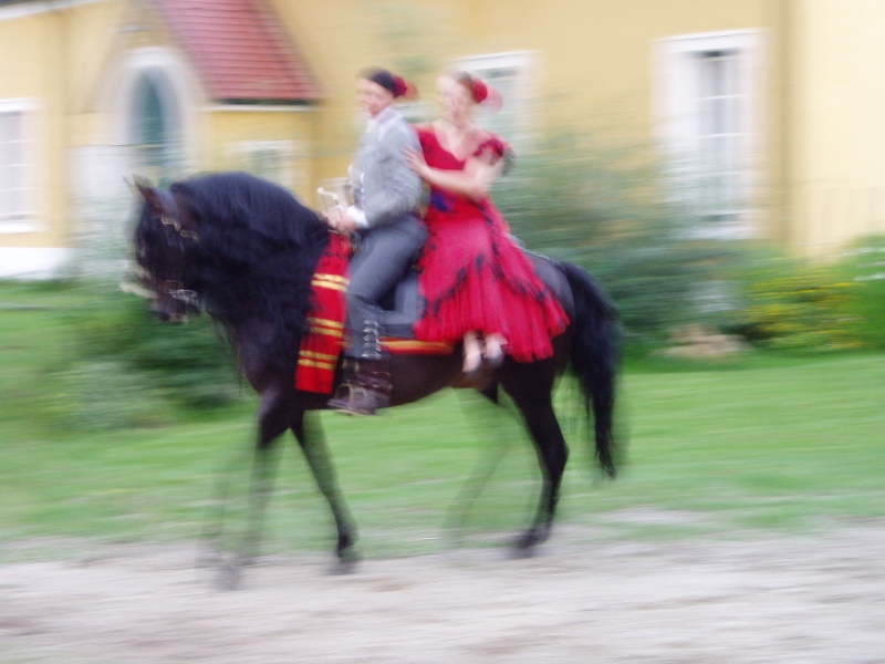 Lilienhof 270805 130